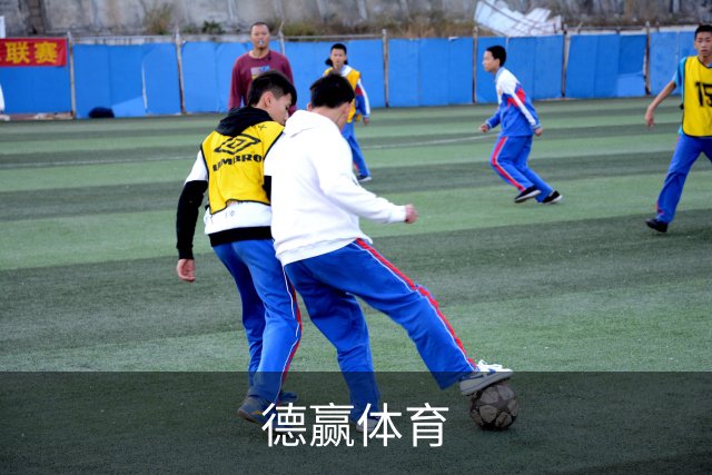 德赢体育公司简介